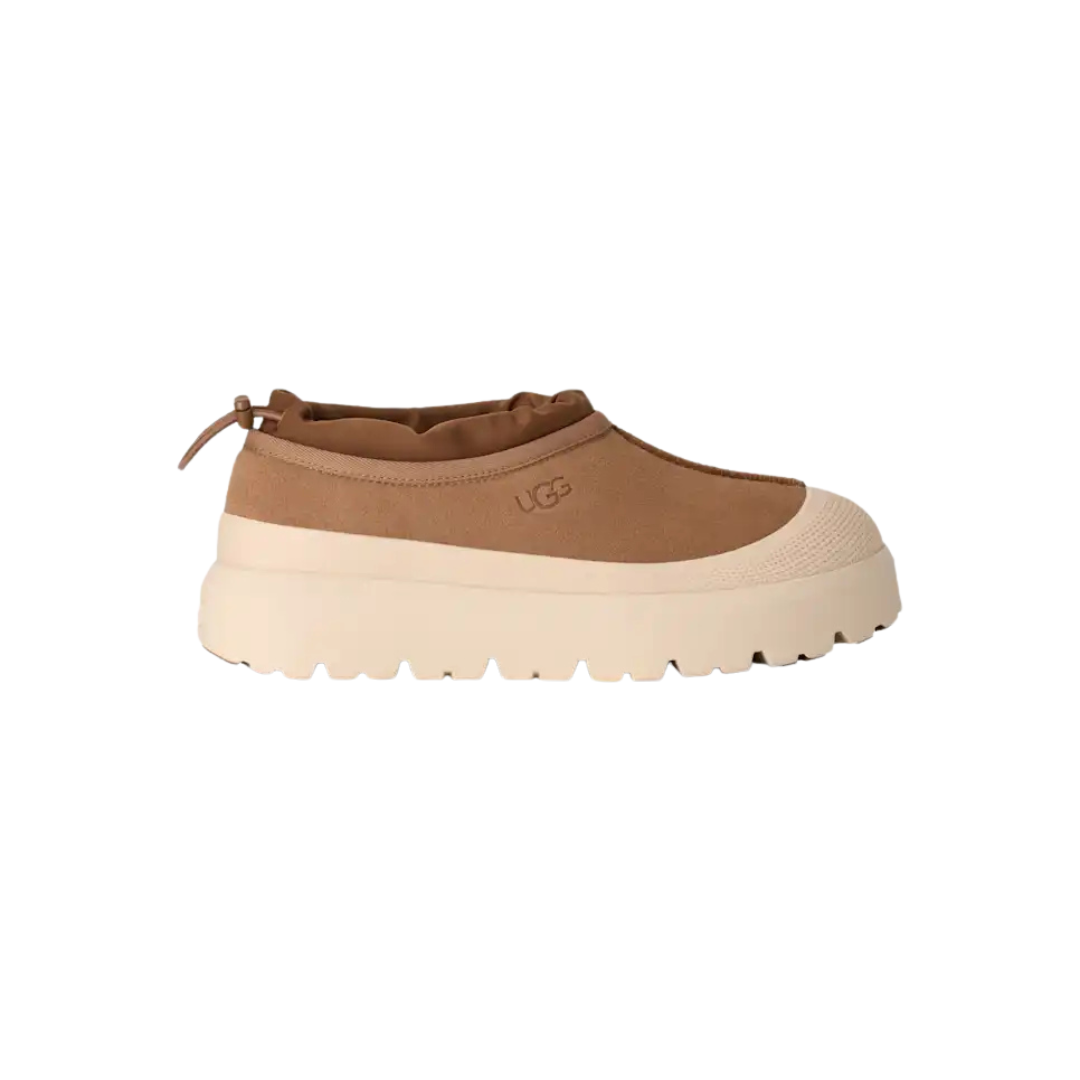 UGG Tasman Weather Hybrid chestnut / whitecap