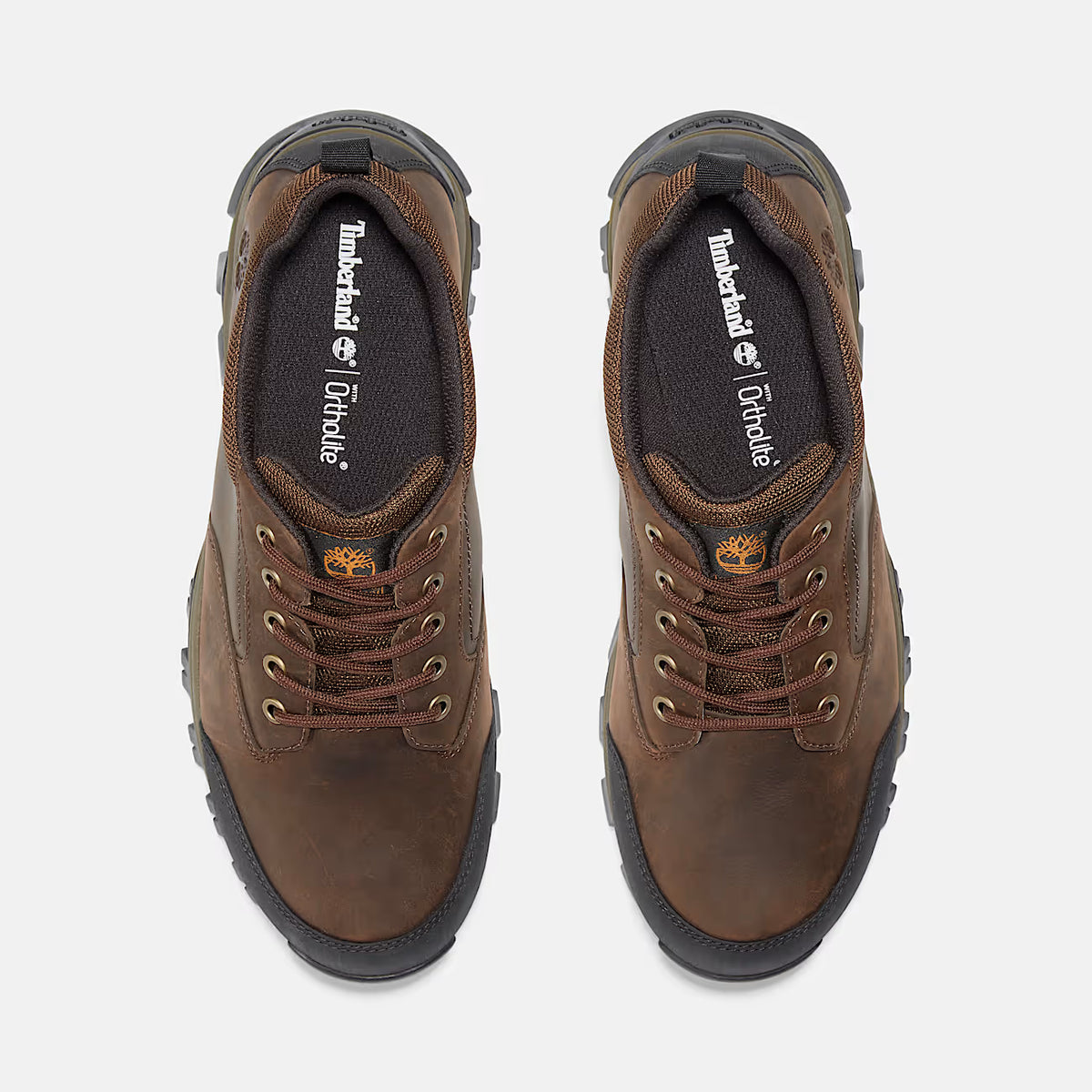 Timberland Mt. Maddsen Low Waterproof Hiking Boot Brown